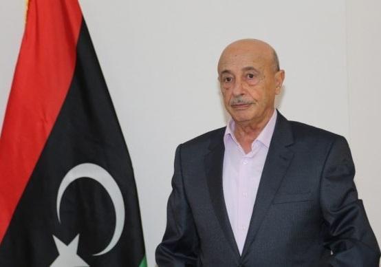 رئیس پارلمان لیبی: توافق اردوغان و فائز السراج باطل است رئیس مجلس لیبی: توافق اردوغان و فائز السراج باطل است