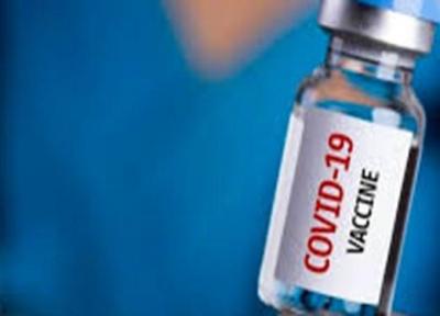 آخرین شرایط تولید واکسن ایرانی کرونا