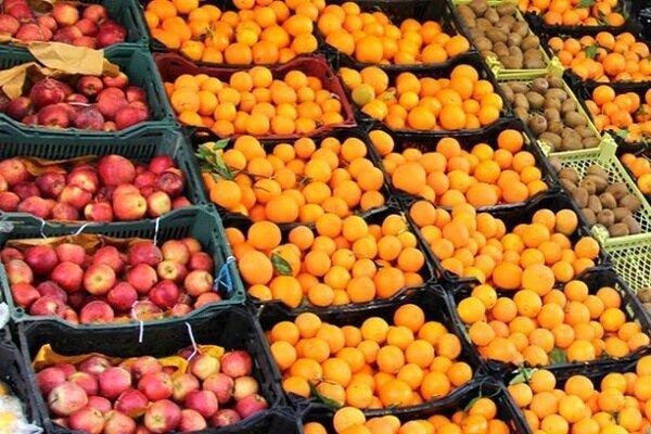 توزیع میوه تنظیم بازار استان همدان شروع شد
