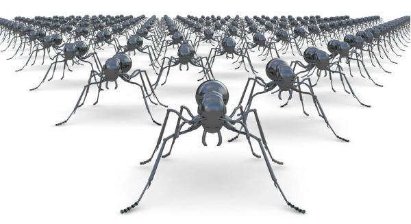 دانشمندان تعداد کل مورچه های روی زمین را محاسبه کردند! 20 کوادریلیون مورچه روی زمین وجود دارد.