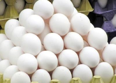 سرانه مصرف تخم مرغ ایران نصف میانه دنیاست