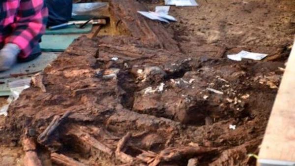 کشف استخوان های 10هزار ساله در آلمان