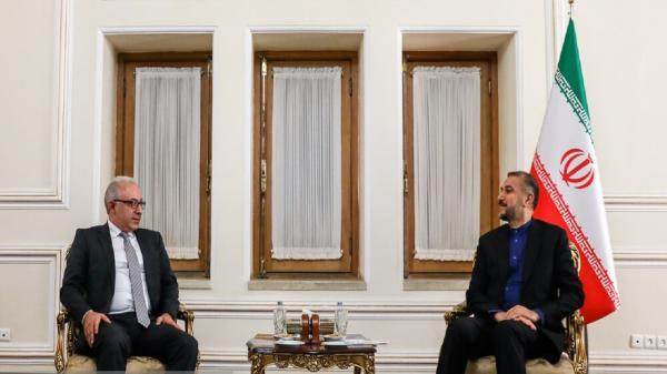 ملاقات معاون وزیر امور خارجه ارمنستان با امیرعبداللهیان