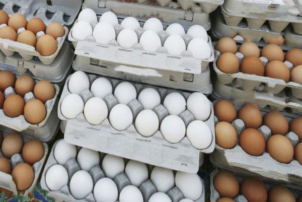 اعلام قیمت تازه تخم مرغ در میادین ، هر بسته تخم مرغ 6 عددی چند شد؟
