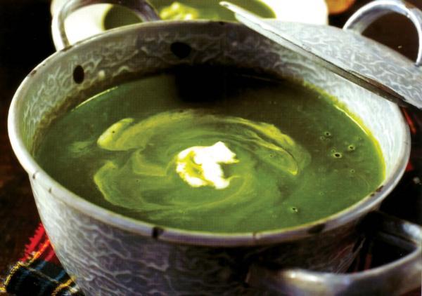 با یک کاسه سوپ سبز، طبیعت را روی میز شام تان بیاورید