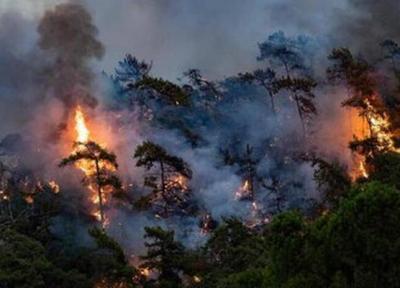آتش سوزی در جزیره محبوب پولدارها