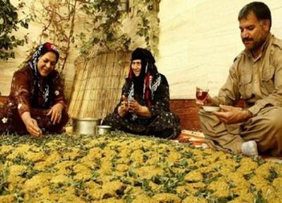 ترخینه آشی معطر، مقوی و سنتی در ایلام